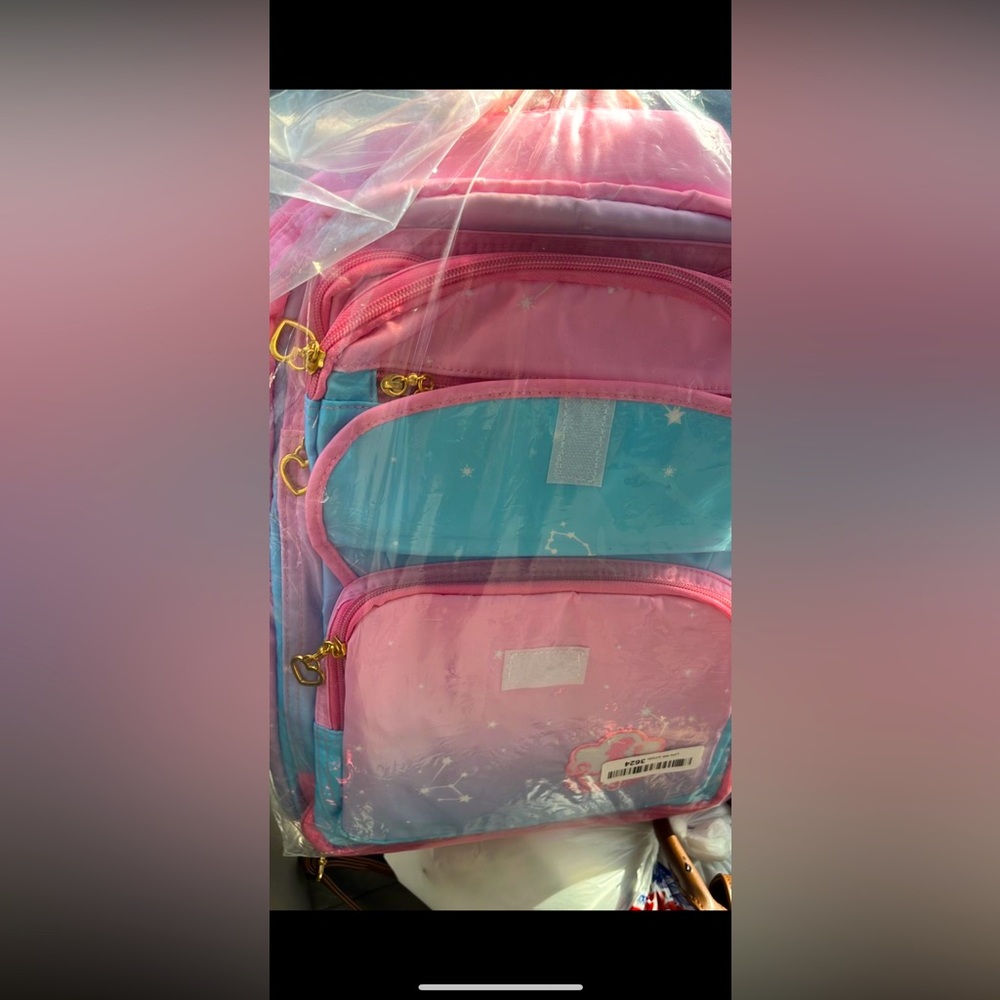 Girl backpack new with lunch bag
